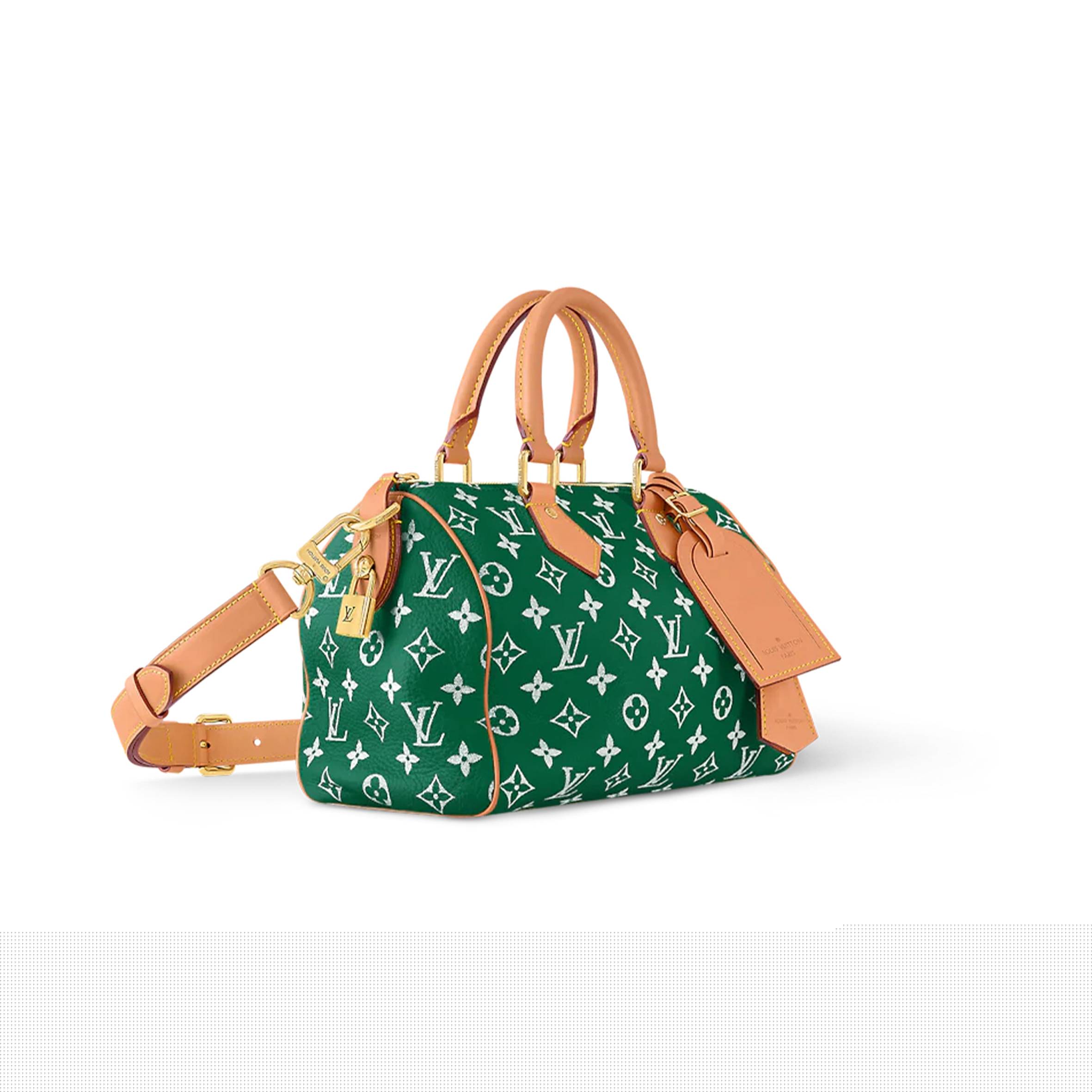 LOUIS VUITTON MASTER SPEEDY P9 BANDOULIÈRE 25 M24423 (25*15*15cm)